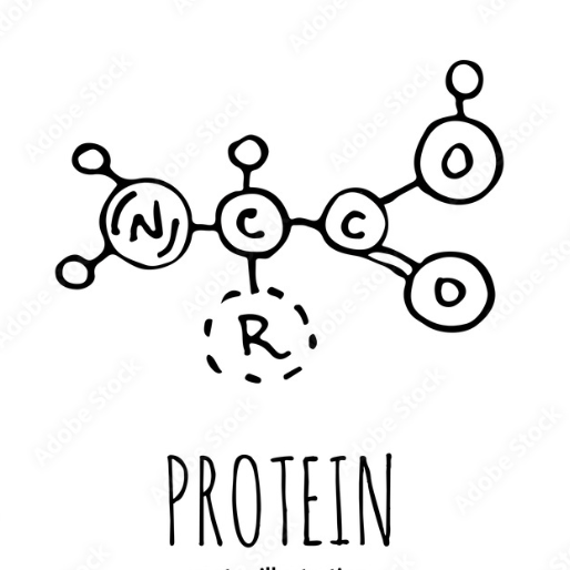 200-gram protein meal plan