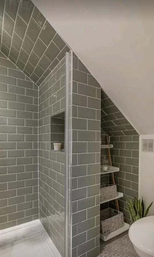 attic Bathroom storage 