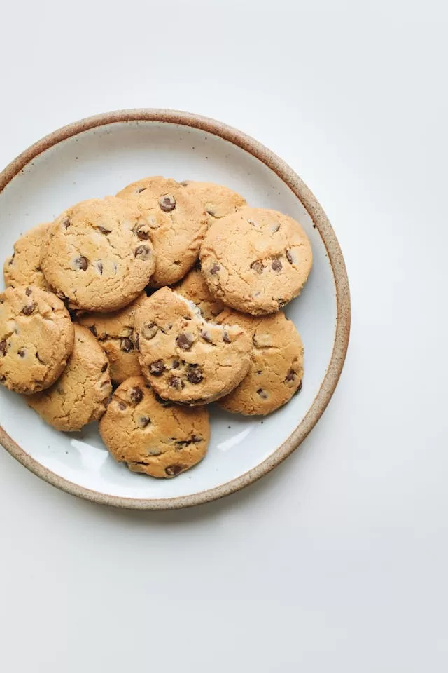 vegetarian cookies